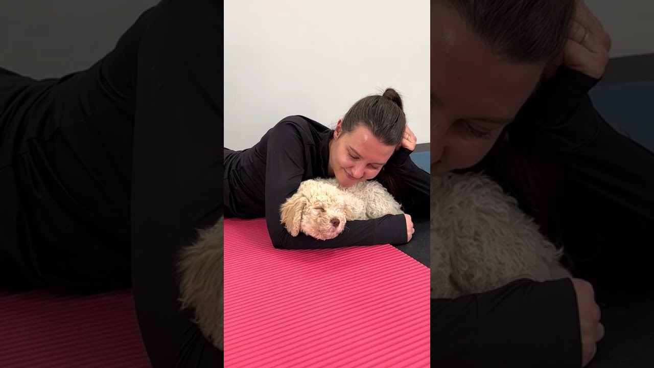 Paws & Pose Yoga – Relaxing Dog Yoga and Puppy Wellness Channel