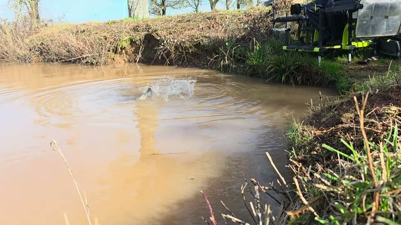 2 March 2026 orchard lake peg 5 part 2
