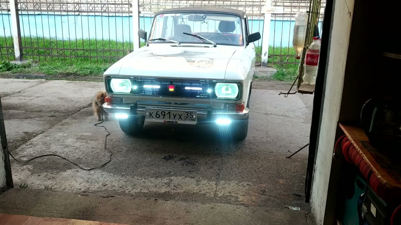 БУБЛИК ШПИЦ ДРЕССИРОВКА КИБЕРКОСМИЧ ПУЛЬТ УПРАВЛЕНИЯ ВЫПОЛНЕНИЕ КОМАНД ПРИКОЛГАРАЖ28 ГЛАВНЫЙ ИНЖЕНЕР
