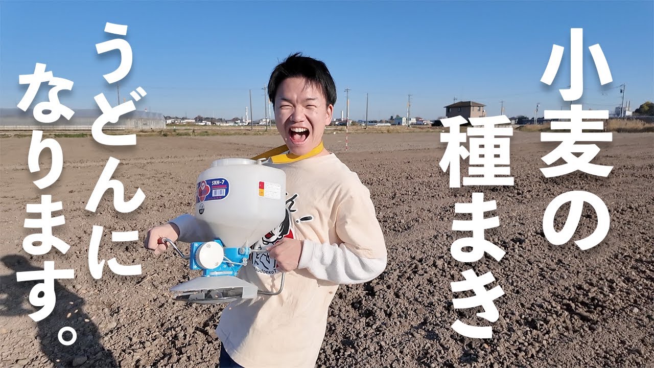 【体験】見沼の畑で、小麦の種まき！おいしいうどんになぁ〜れ♪