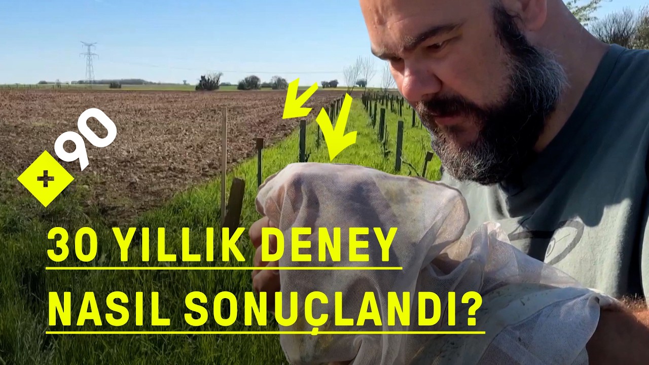 Pestisitsiz tarım mümkün!🧑‍🌾Tarım ilacı kullanmadan verim nasıl artar?