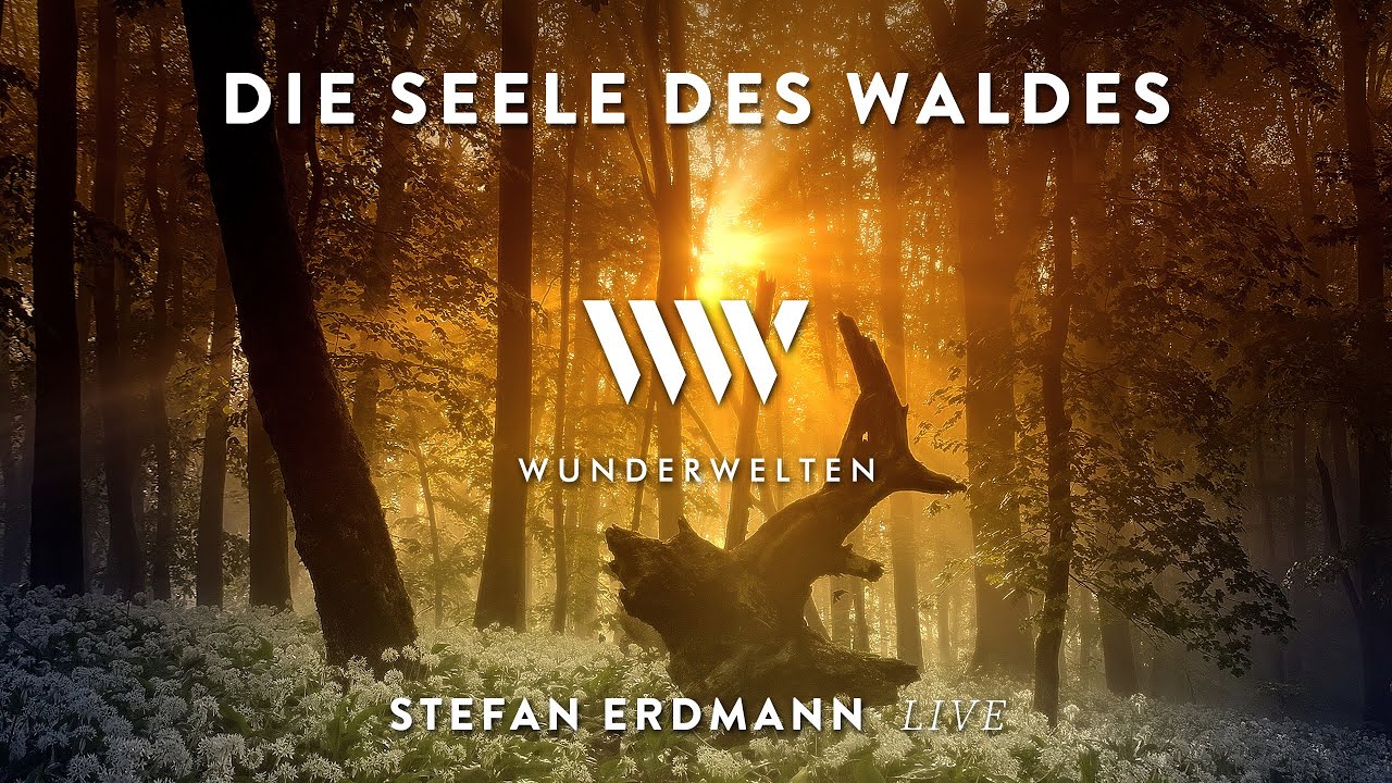WunderWelten: Die Seele des Waldes - Stefan Erdmann