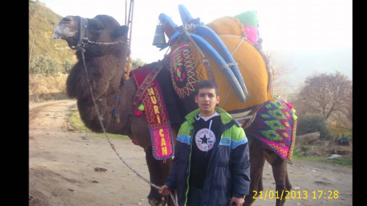 kuyucaktan baş pehlivan nurican daylak