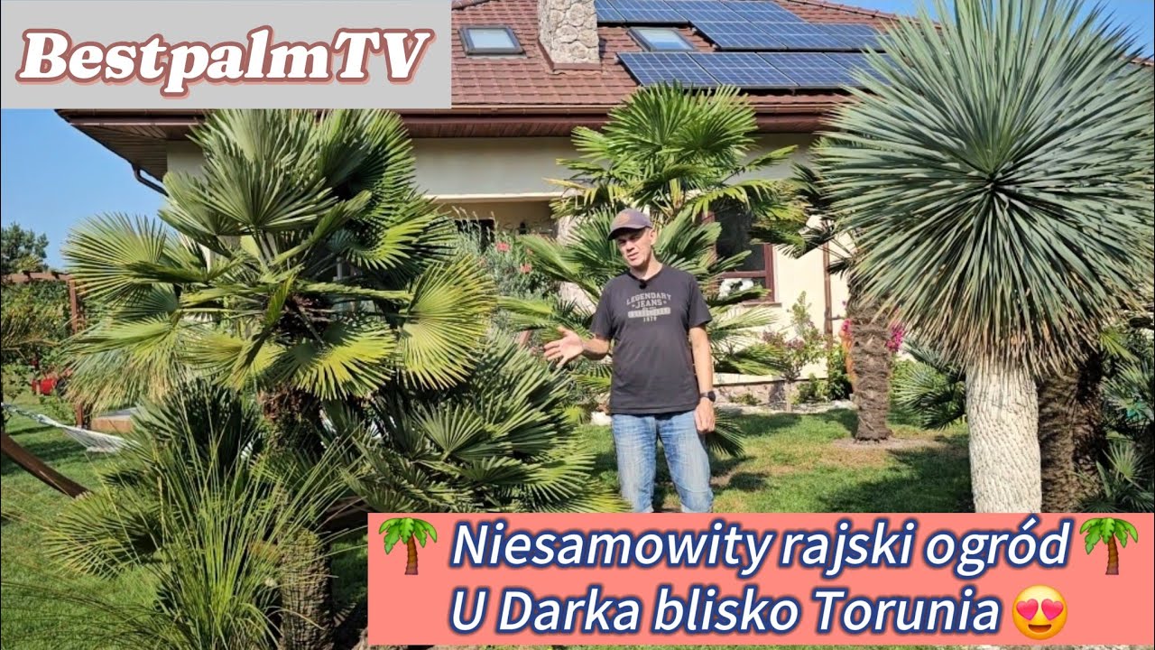 BestpalmTV. To nie Hiszpania – to Polska! 🇵🇱 Rajski ogród u Darka blisko Torunia 🌴 Kolejna wizyta.