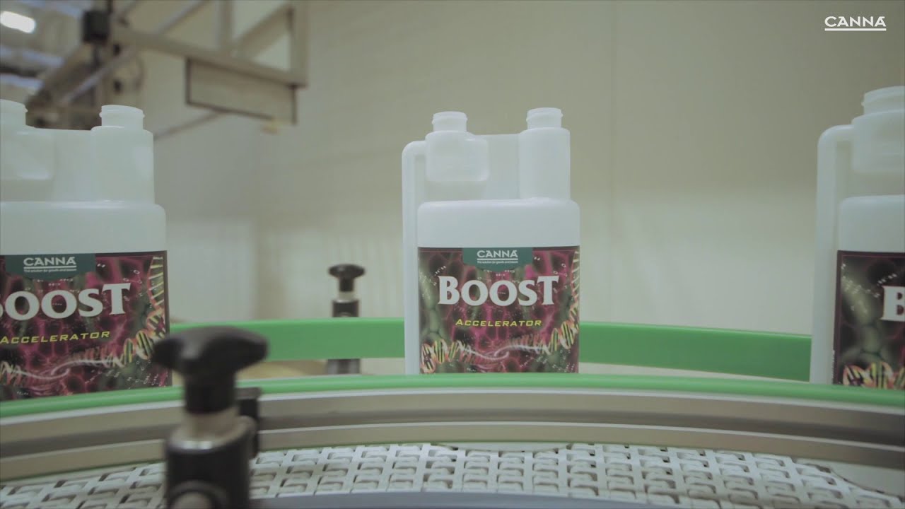 Behind the scenes at CANNA