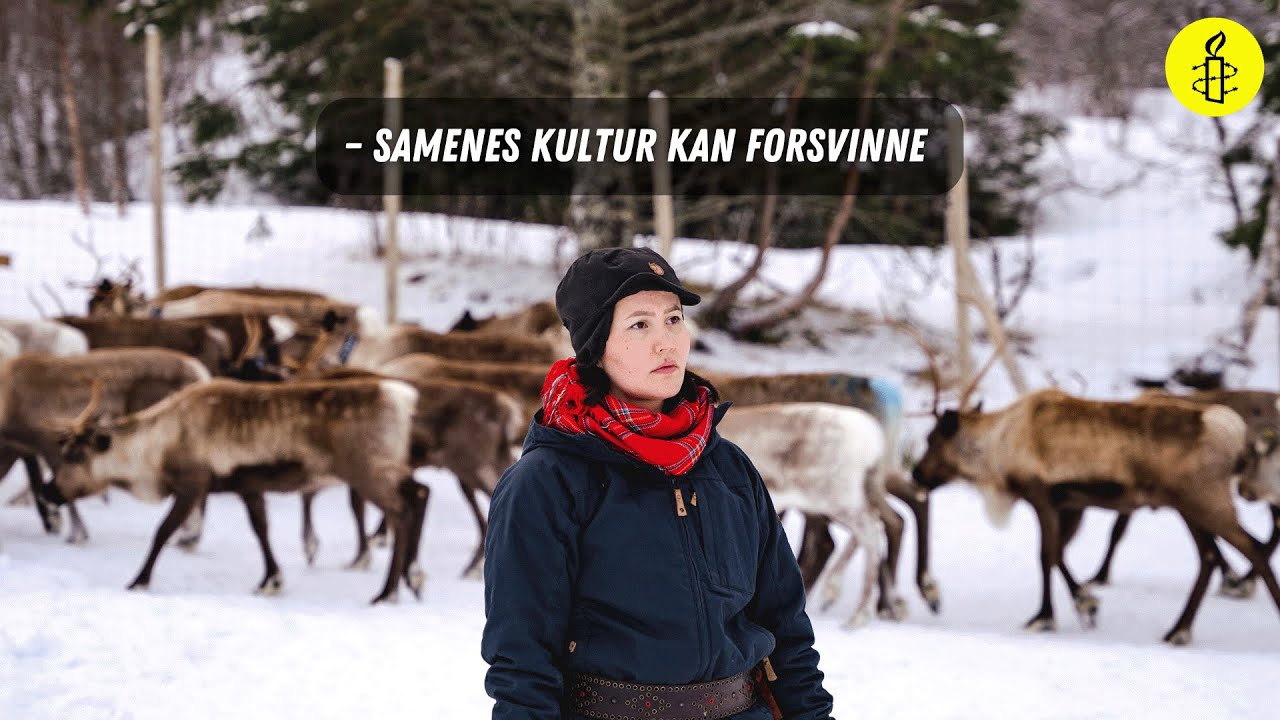 Samenes kultur og fremtid står i fare | Vindkraft og reindrift på Fosen, Norge
