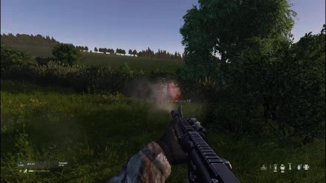 DayZ Official PS5 PVP #8