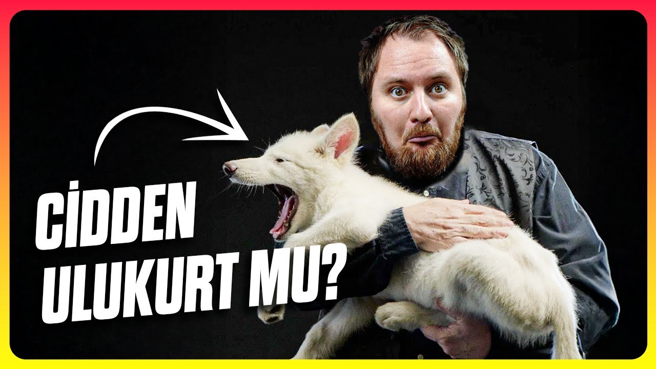 Soyu Tükenmiş Bir Canlıyı Yeniden Yaratabilir miyiz?