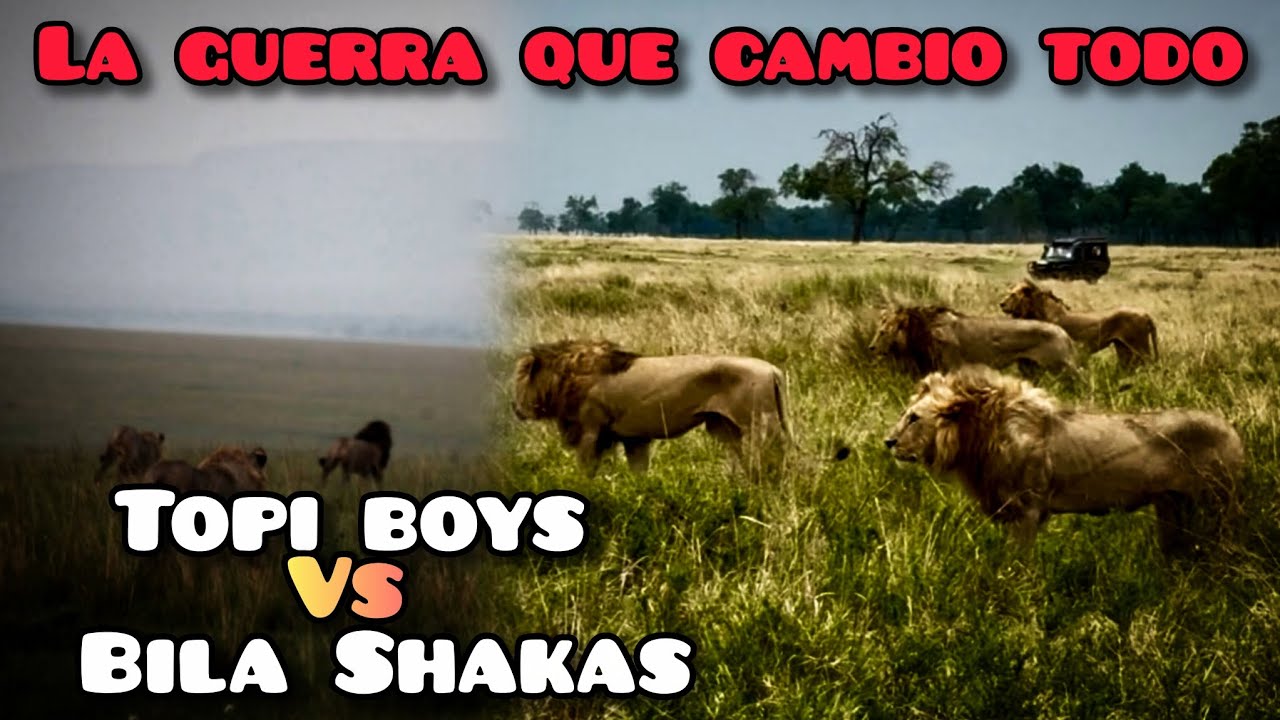 Jovenes LEONES DESAFÍAN el orden Establecido|TOPI BOYS 