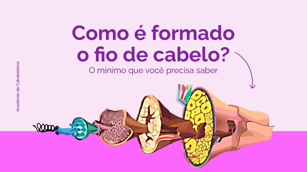 COMO É FORMADO O FIO DE CABELO | By Paula Roveroni - Academia de Cabeleireiros