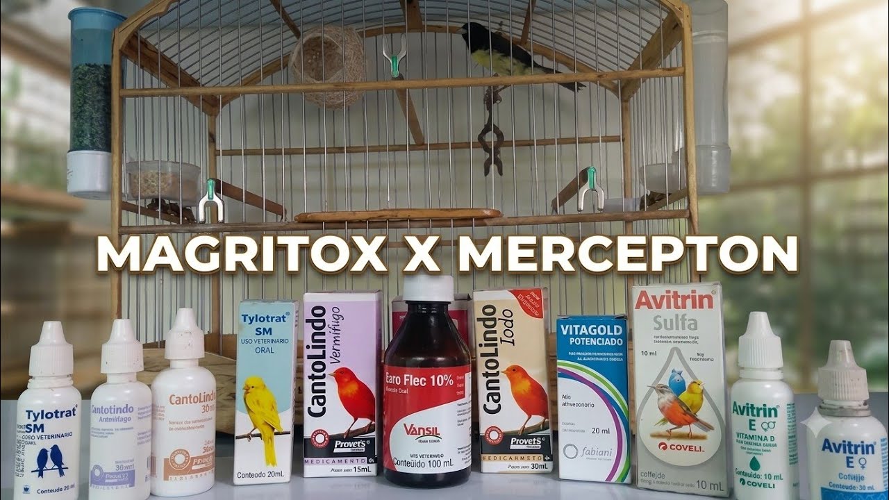 MAGRITOX  X  MERCEPTON