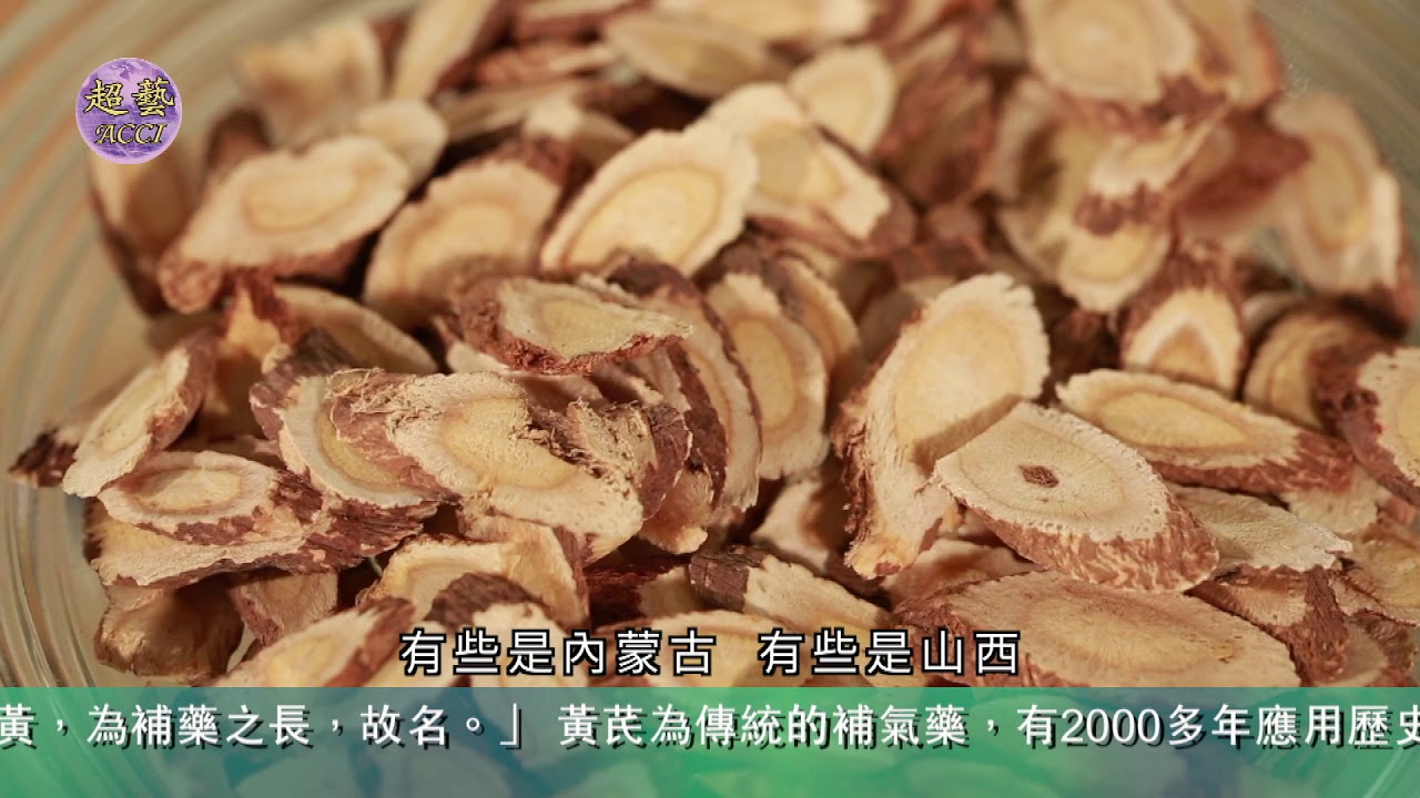 《世說本草》第91集：黃芪 The Chinese Materia Medica for us All