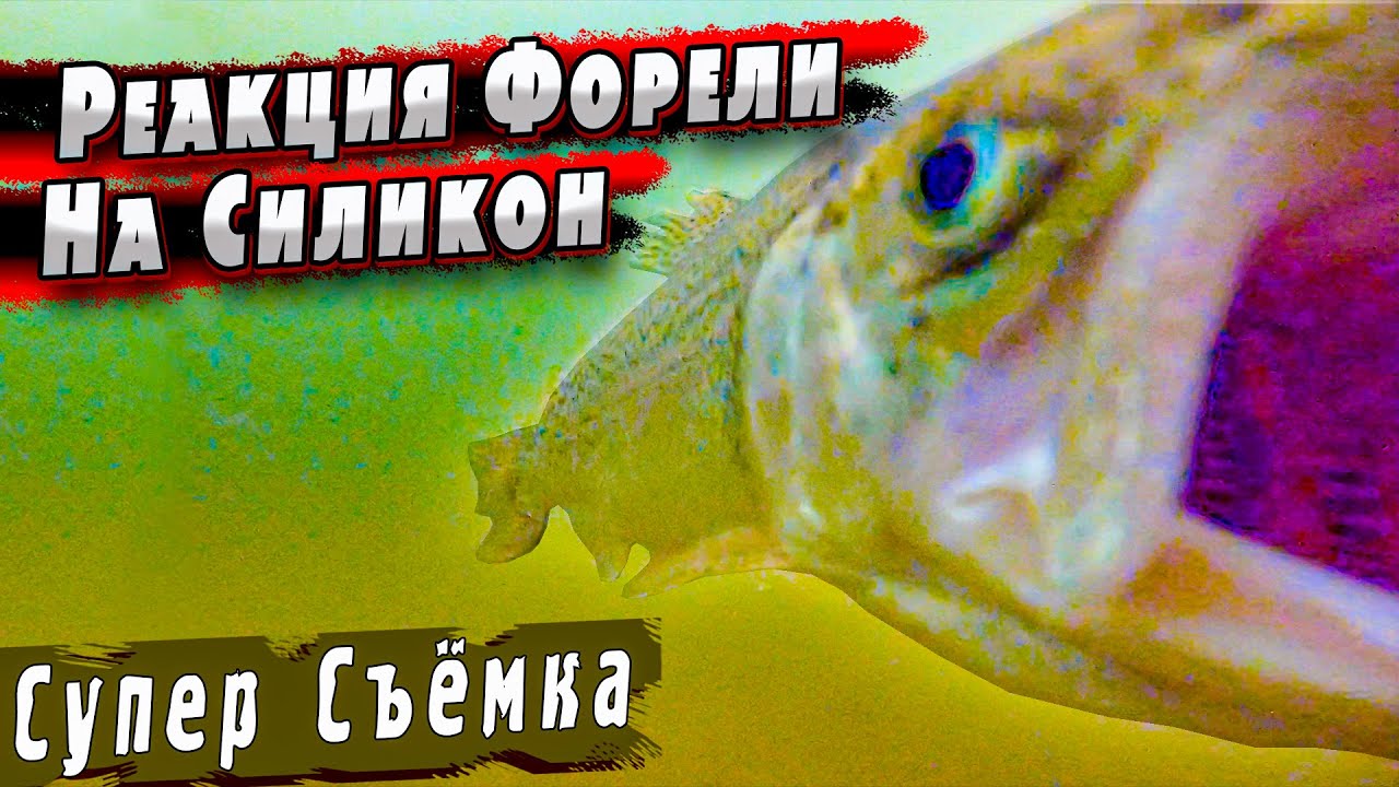 Игра Приманок под Водой | Форель со Льда | Форель на Силикон