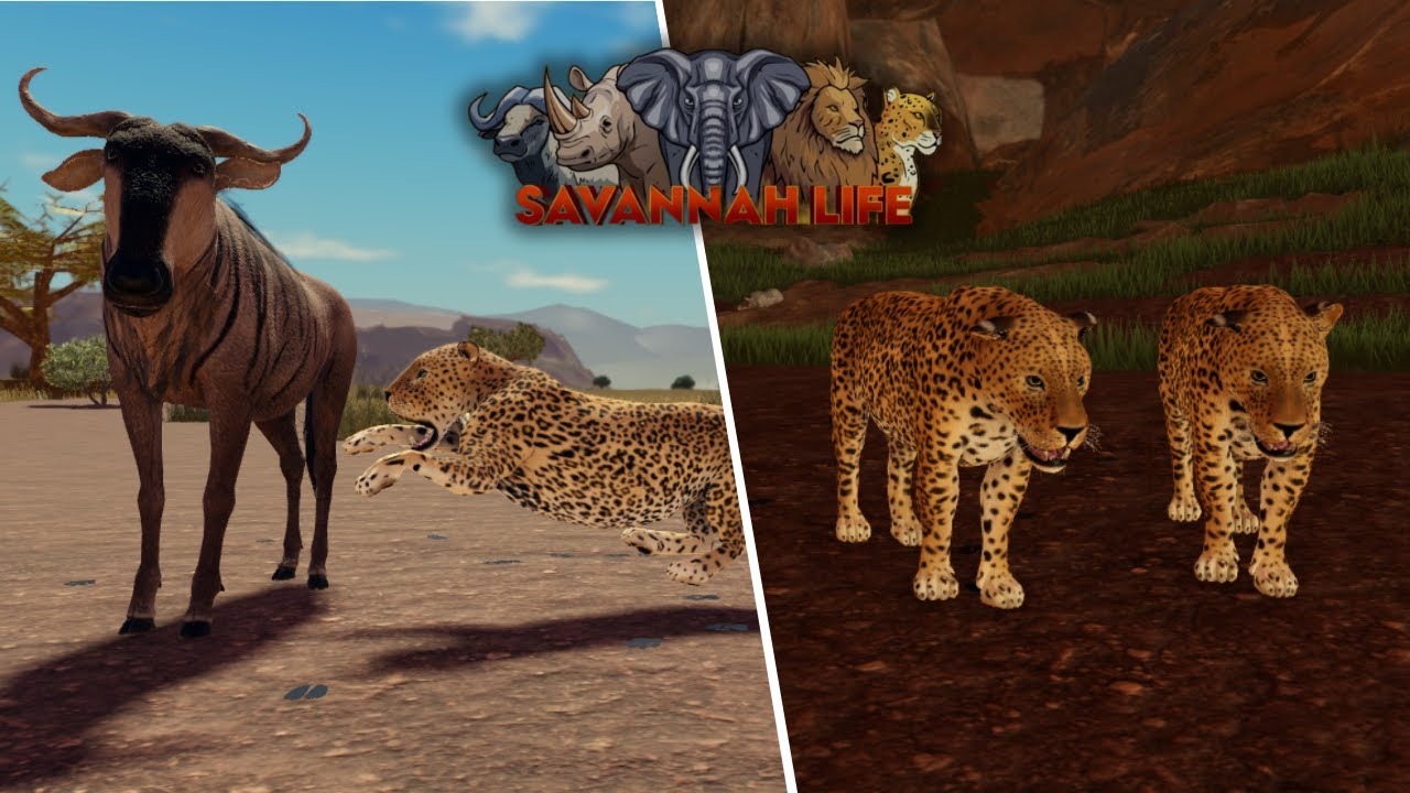 Leopard Hunting Everyone in Savannah Life ⏐ ROBLOX 🐆💫 PT3