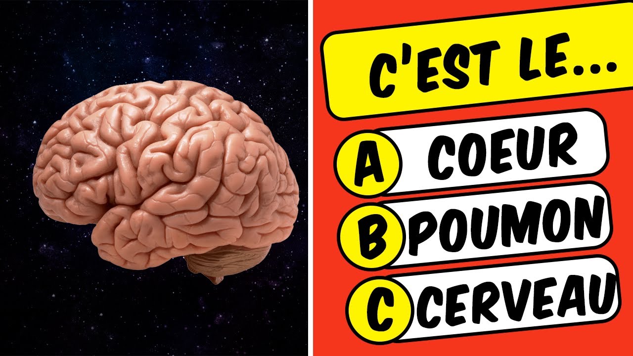 🧠💪Connais-Tu Vraiment le Corps Humain ? Quiz de Culture Générale sur L'ANATOMIE 👁️🦴