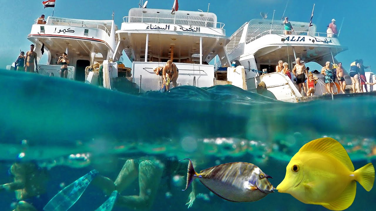 Egypt Red sea corals snorkeling. Yachts & fish in Hurghada. 4K