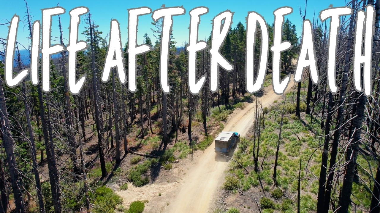 Overlanding Shasta-Trinity National Forest - Hidden Beauty Again