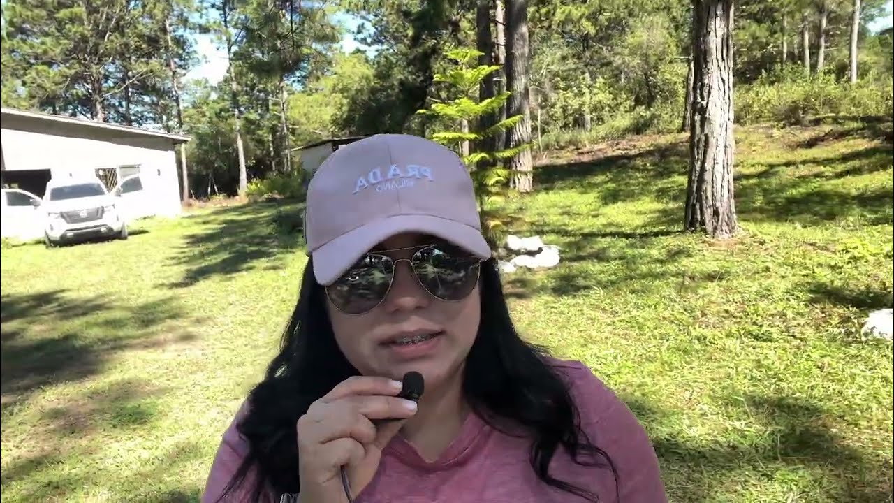 Ya terminamos el portón de la entrada 😋 el café del vecino ☕️ limpiaron el monte de al lado 🍃 
