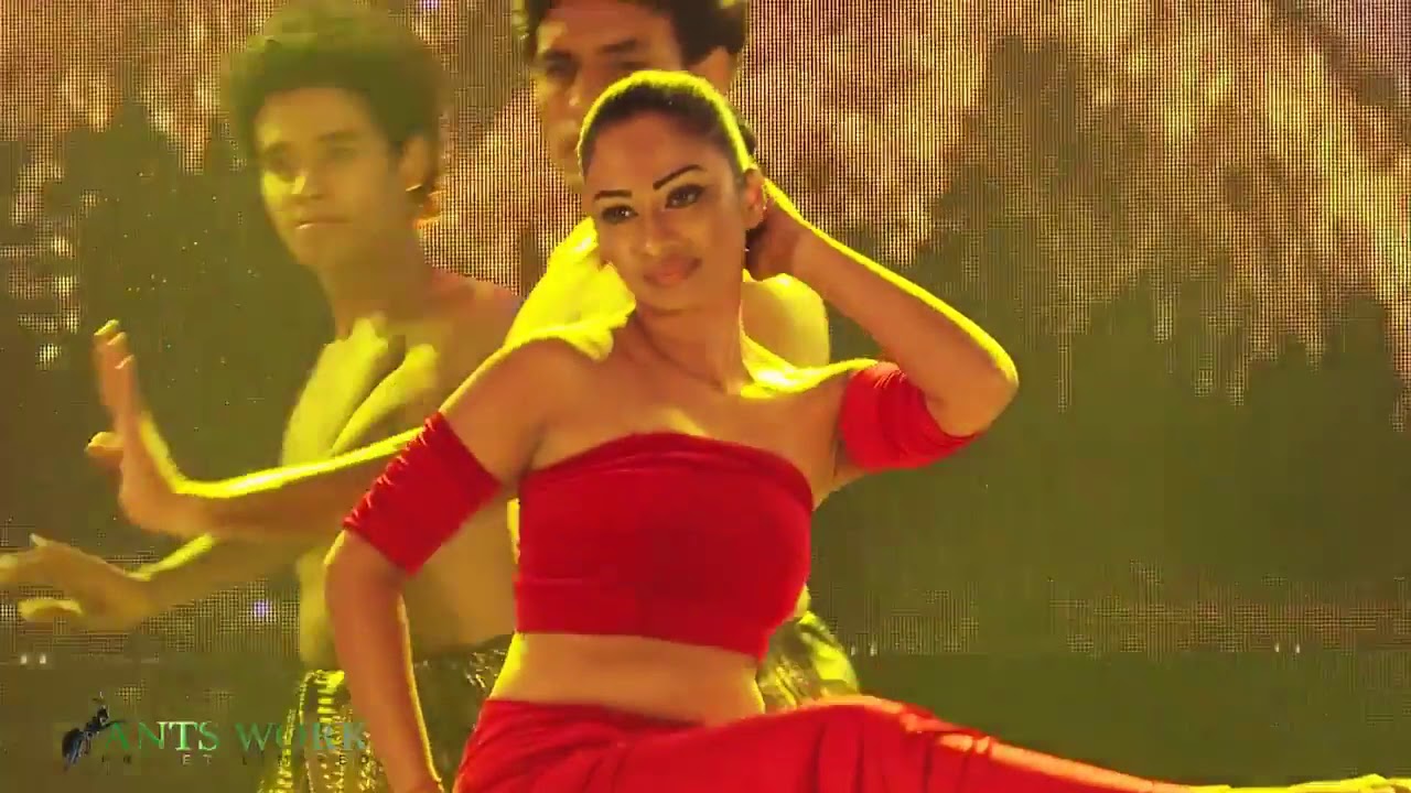Beautiful Dance performance from Channa Upuli Dance Troupe   Violin