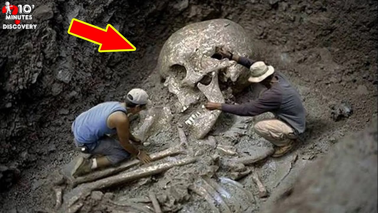 A Giant Skeleton 30 Feet Long Has Just Been Discovered Hiding Secrets That Shocked Archaeologists