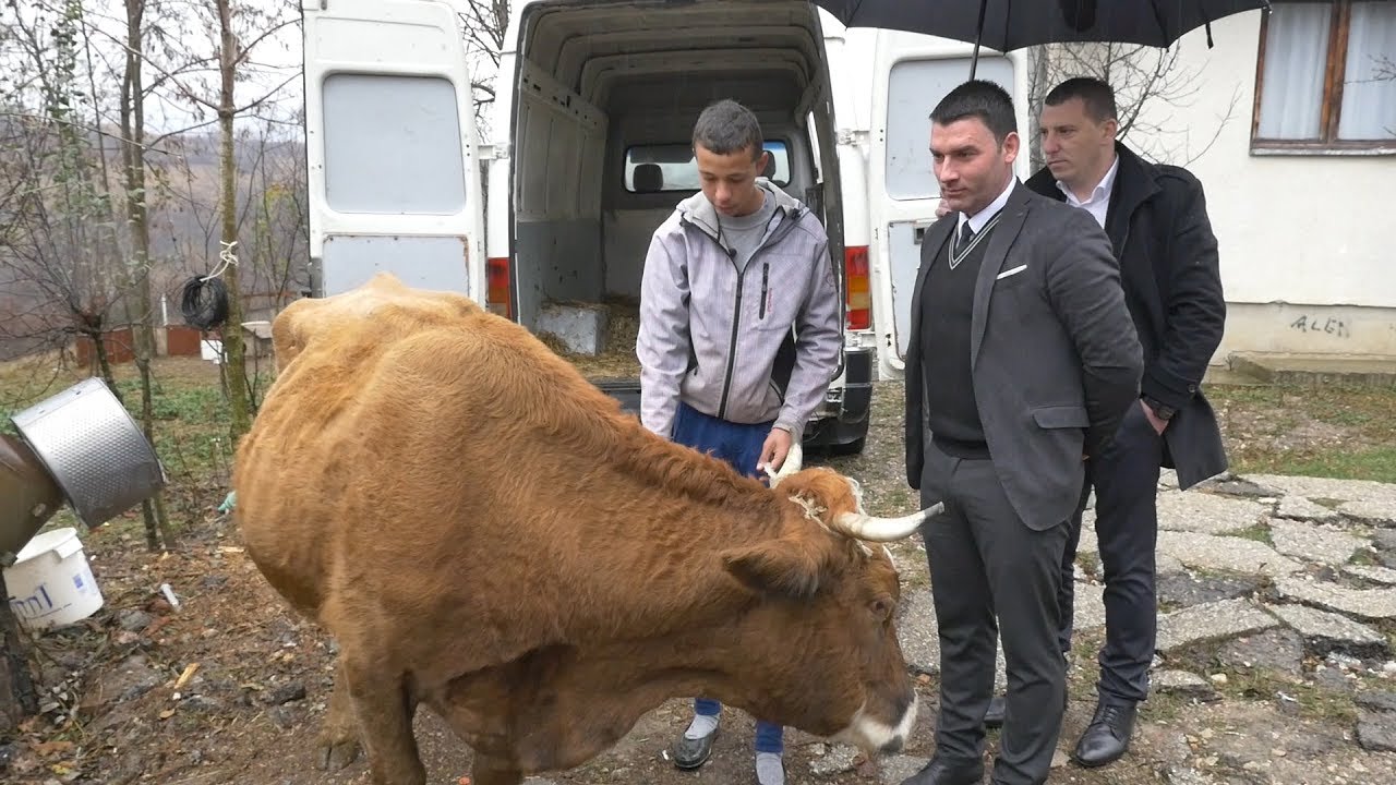 HUMANITARC IZ BEOGRADA KOJI JE RASPLAKAO BiH I REPUBLIKU SRPSKU