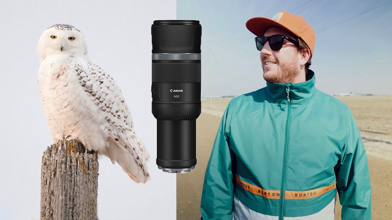 Bird Photography | Behind The Scenes Canon RF 600mm F11 Birding