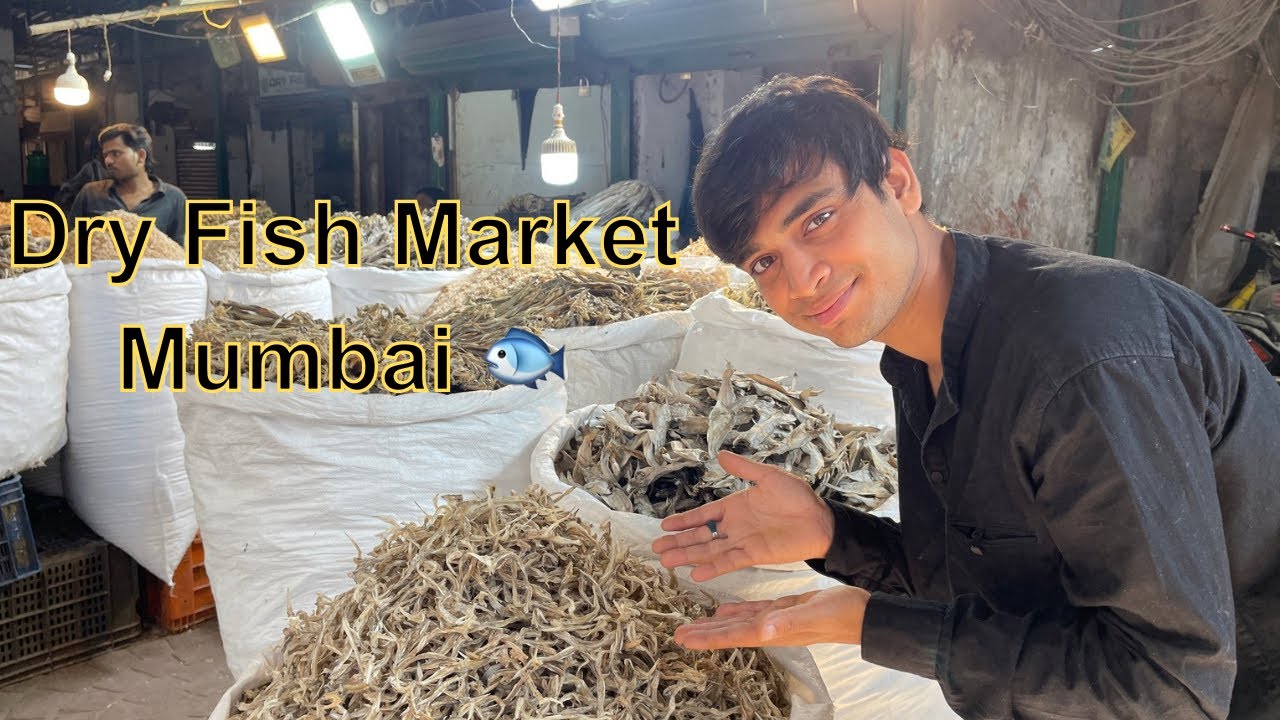DRY FISH MARKET SEWRI | BIGGEST DRY FISH MARKET IN MUMBAI | 🐟 |