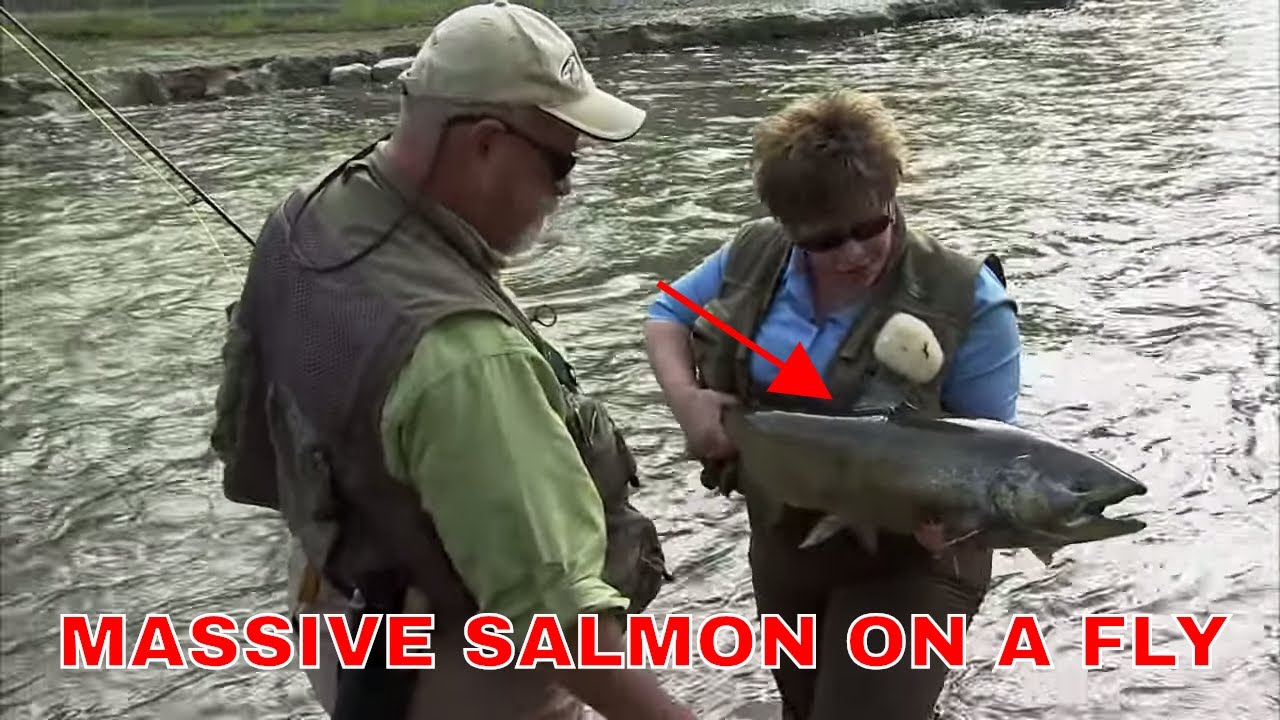 SWINGING FLIES FOR MASSIVE SALMON - GANNY RIVER