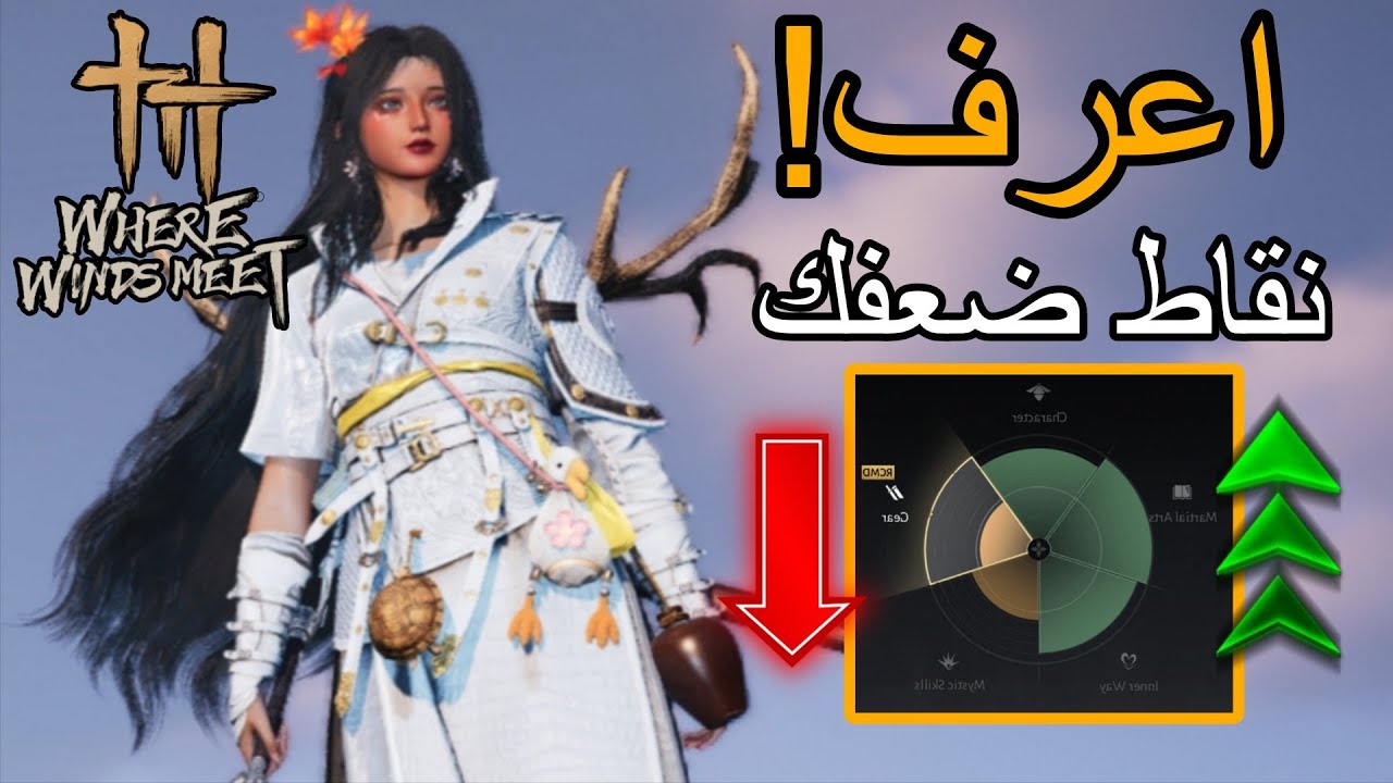 اشياء ياليتني كنت اعرفها من زمان | where winds meet 