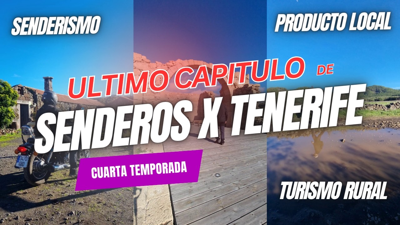 Lomo de la Jara 🌲 | Guardianes Centenarios | Final T4 Senderos por Tenerife 🥾🔥