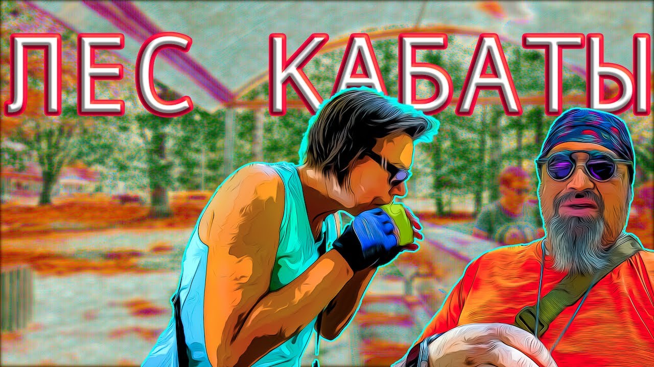 Лес Кабаты: история тайны и природная гармония под Варшавой