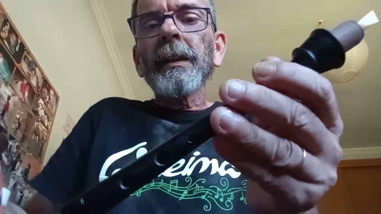 A GAITA QUE NON AFINA, TEORÍAS APARTE.