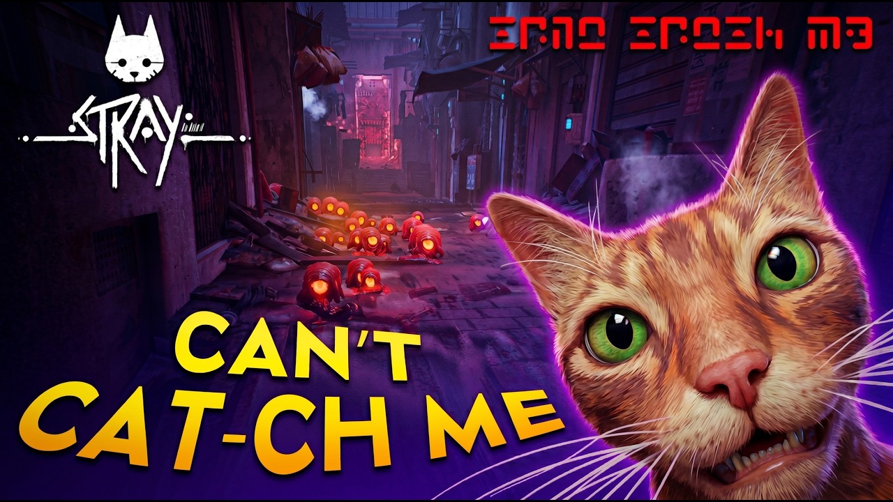 [Achievement Hunter] Can't Cat-ch Me Trophy | Stray