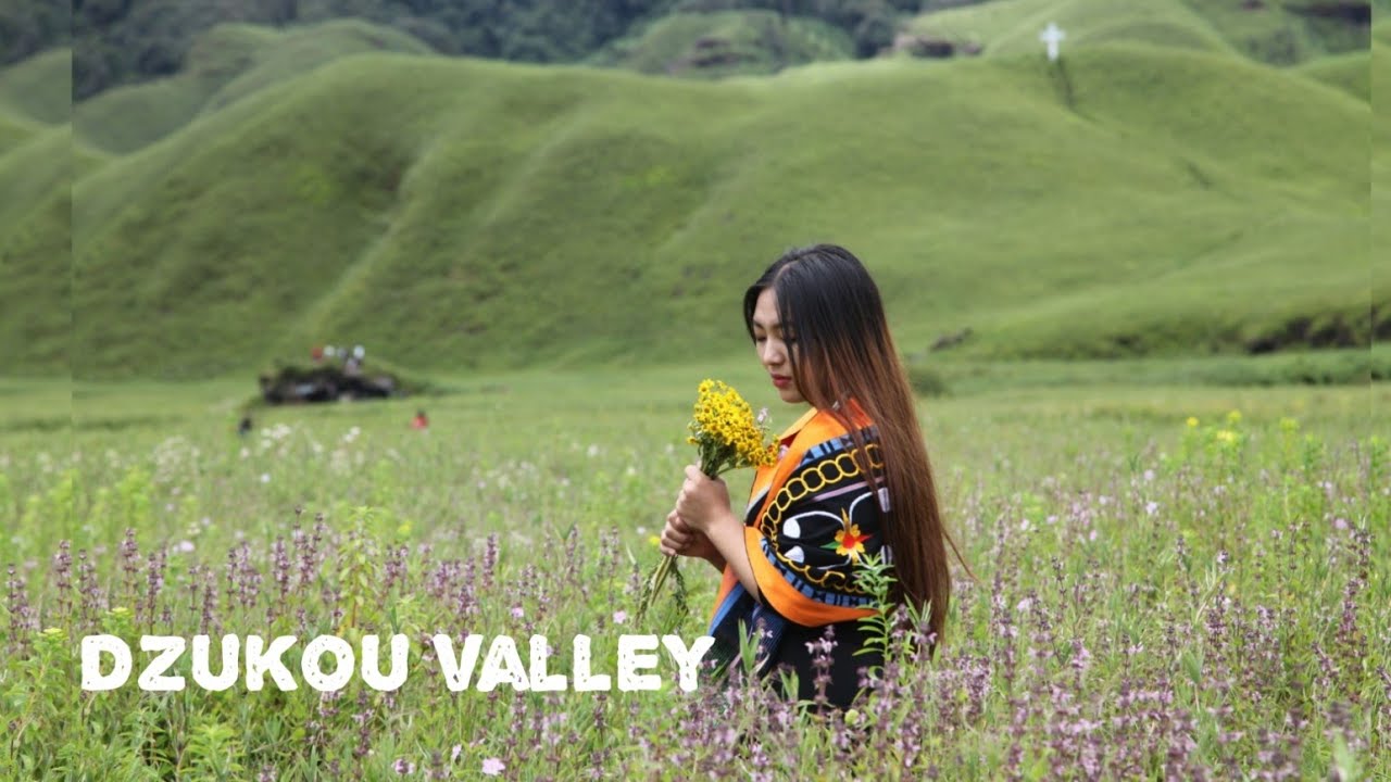 Heaven On Earth//Dzukou Valley//Northeast India (part-2)