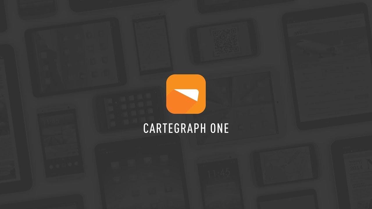 Cartegraph One