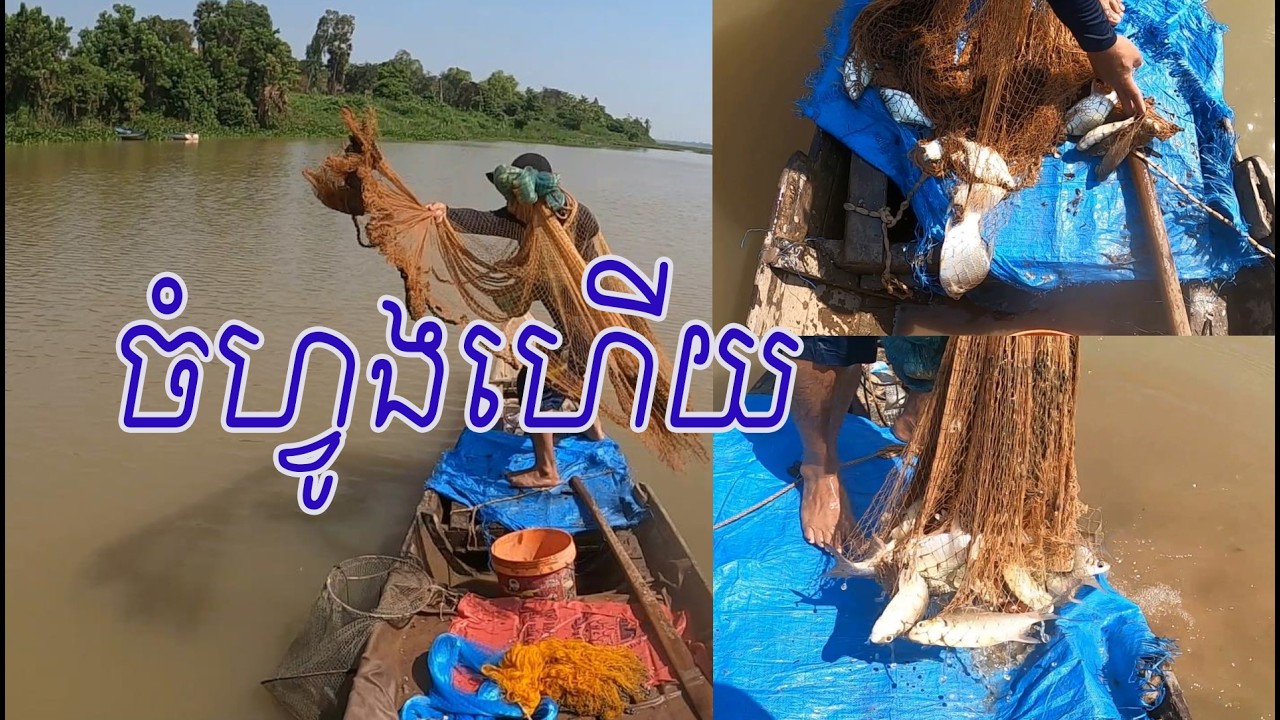 ចំហ្វូងហើយ ចូលប្លុក The Best Fishing Videos 2026 | #788