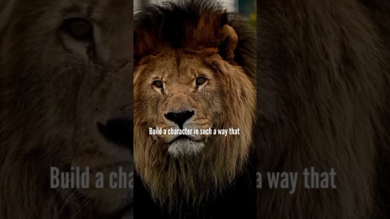 🦁 Lion attitude l Lion attitude quotes l Lion attitude status l lion attitude motivational video 🦁