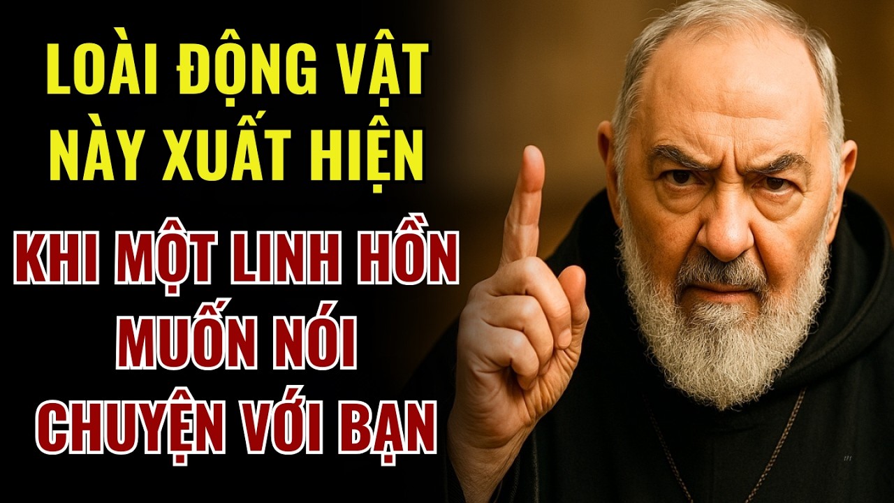 Padre Pio Cảnh Báo: Nếu Con Vật Này Xuất Hiện Trong Nhà, Có Thể Thiên Đàng Muốn Nhắn Gửi Bạn