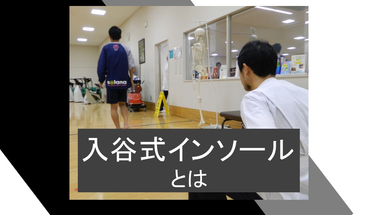 入谷式インソール（足底板）PV