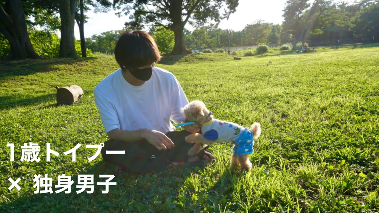 一人暮らし独身男の休日を使って愛犬と公園にお出かけ