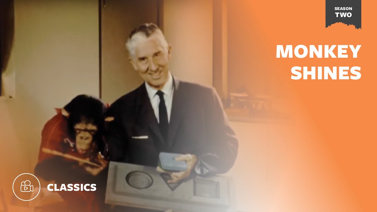 Monkey Shines | Mutual of Omaha's Wild Kingdom