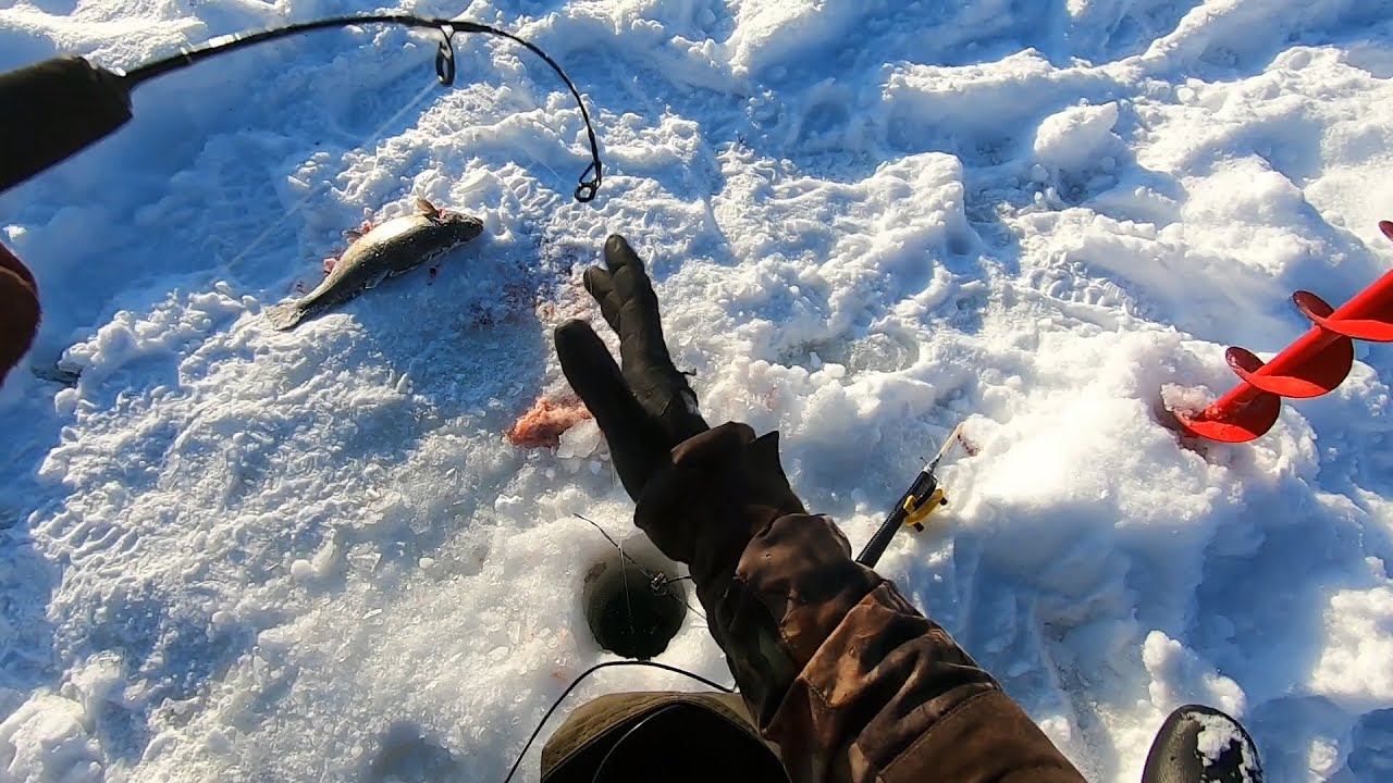 Kirjolohikausi auki 2021/ Rainbow trout ice fishing