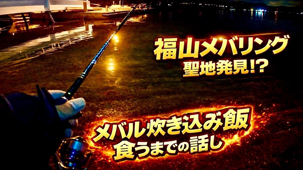 【メバル釣り】福山市で聖地発見か⁉︎