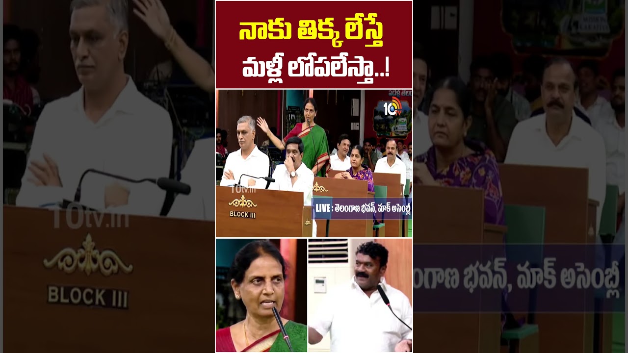 నాకు తిక్క లేస్తే మళ్లీ లోపలేస్తా..! #talasanisrinivasyadav #cmrevanthreddy #brs #mockassembly #10tv