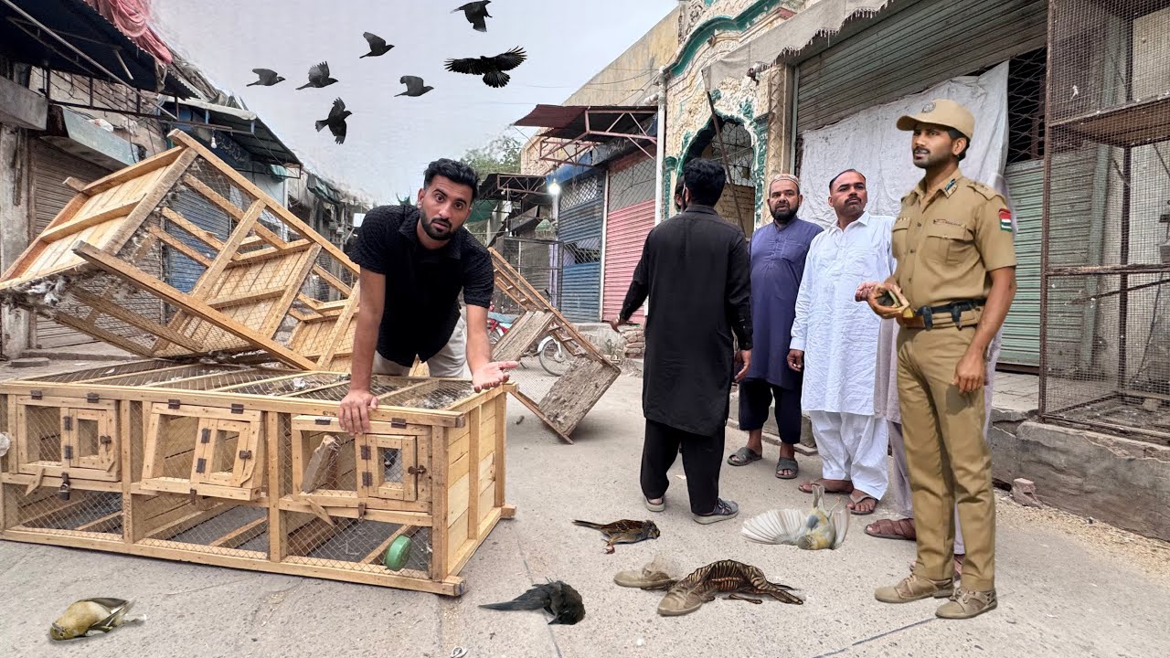 Multan Ki Birds Market Tbha Hogai Ab Hum Parindy Kaise Len gy😥💔