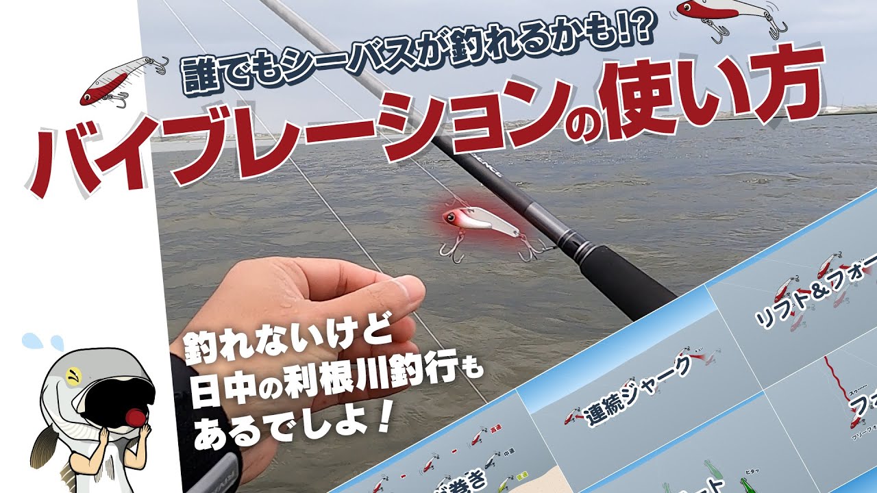 【シーバス】バイブレーションの使い方！ 日中の利根川釣行もありますよ！