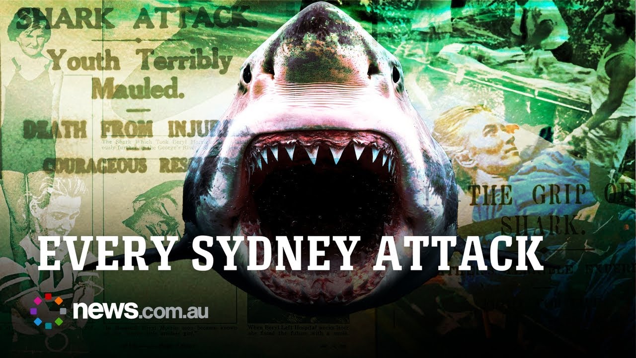 Every recorded shark attack in Sydney’s history