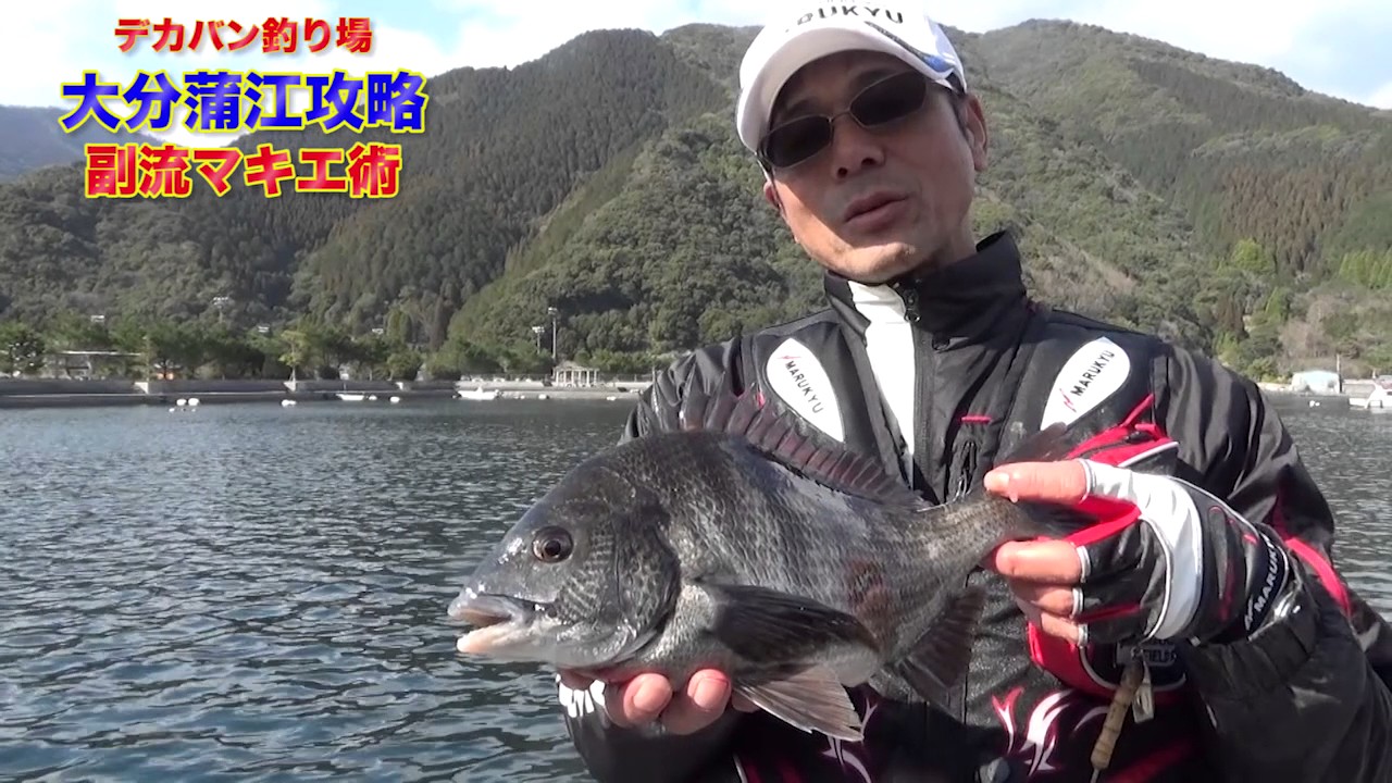 日本屈指のデカバン釣り場、大分県蒲江で60チヌを狙う