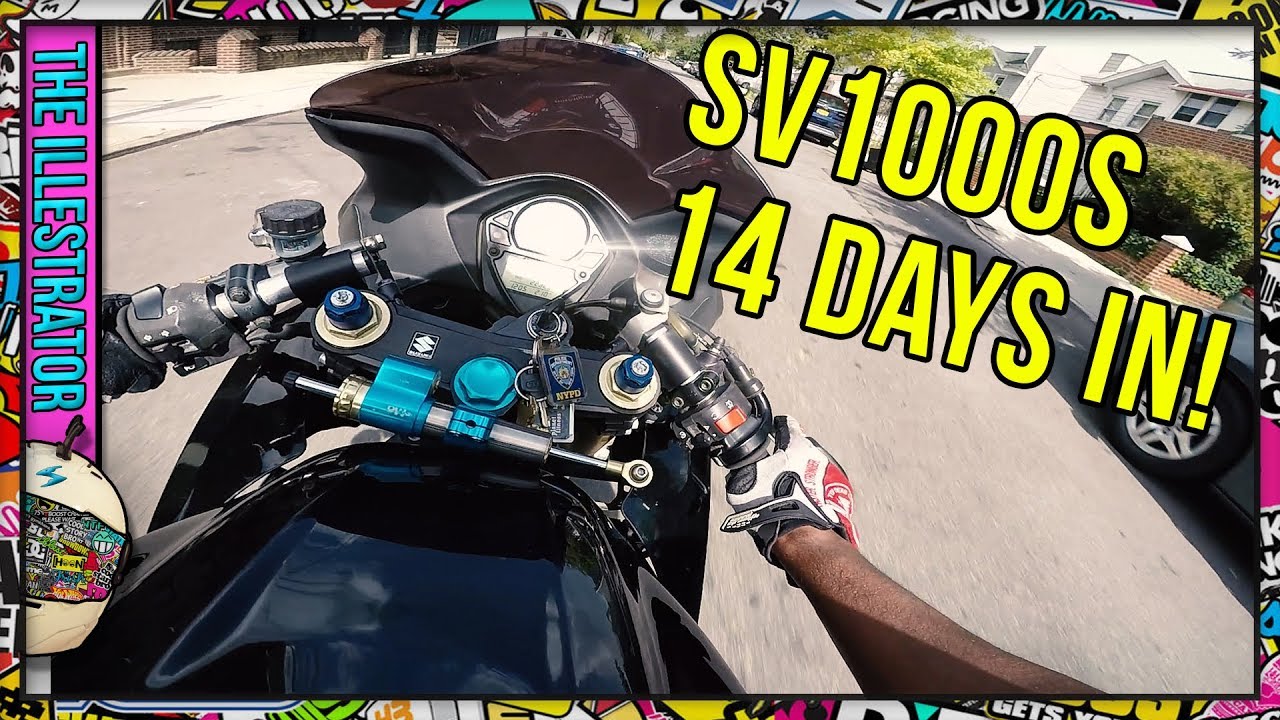 Suzuki SV1000 First impressions