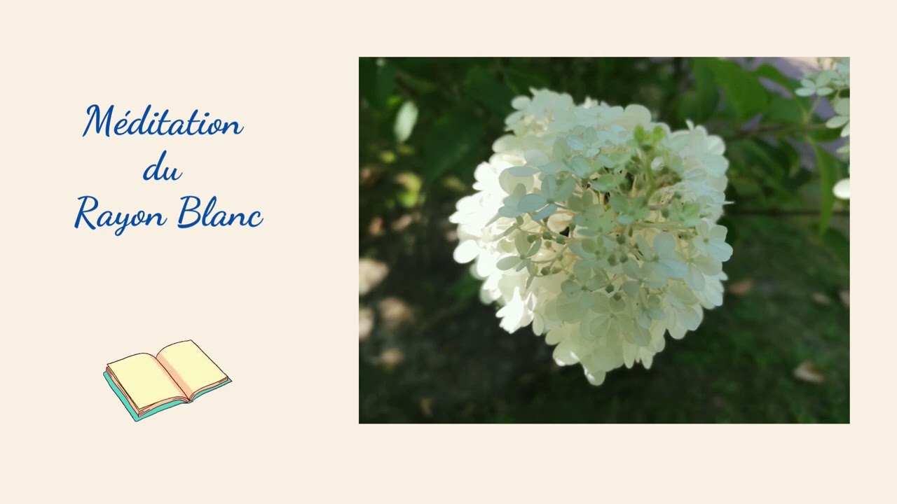 6- Méditation Rayon Blanc (la joie)